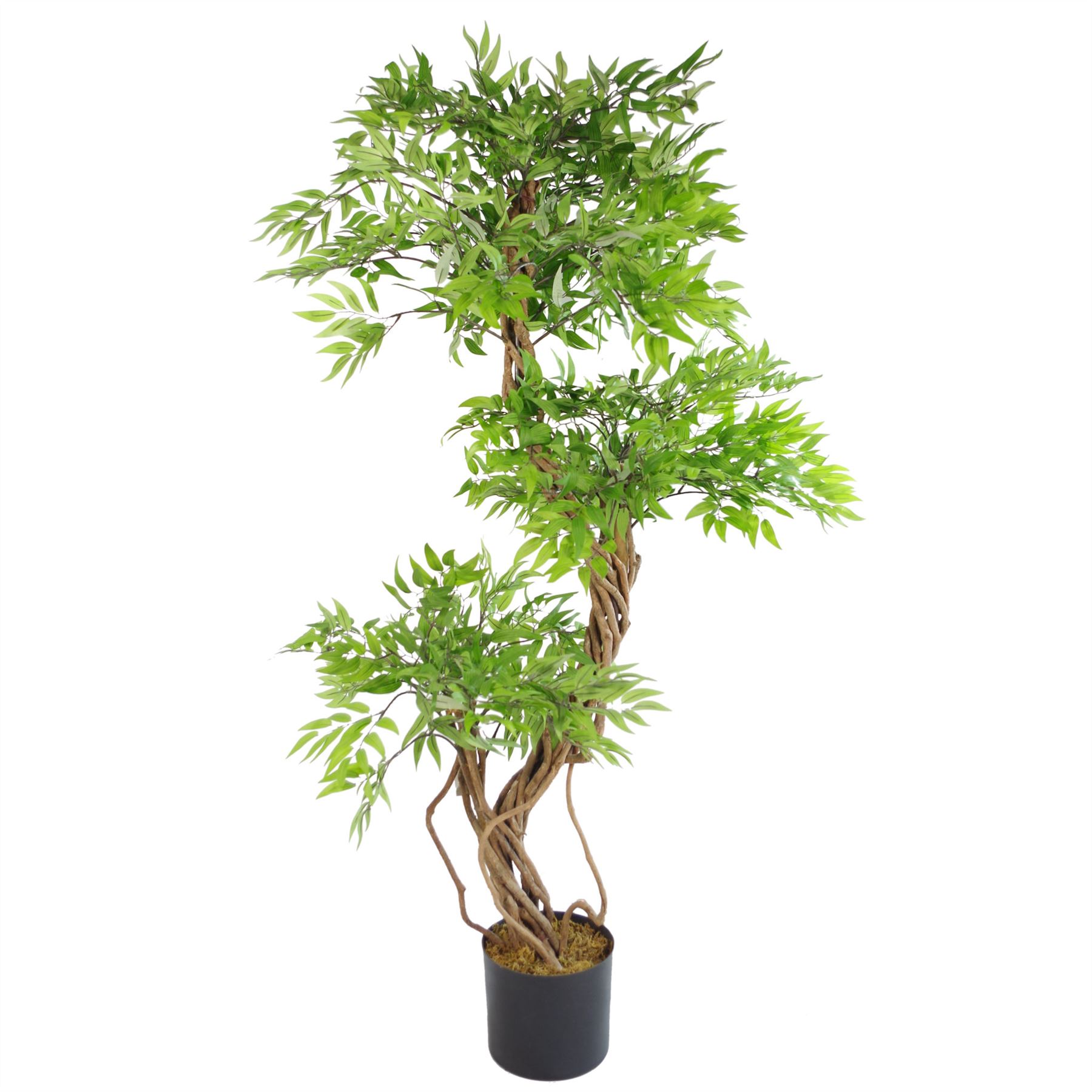 LARGE Ruscus Trees Artificial Ruscus Ficus - Home or Office Decor - Picture 8 of 20