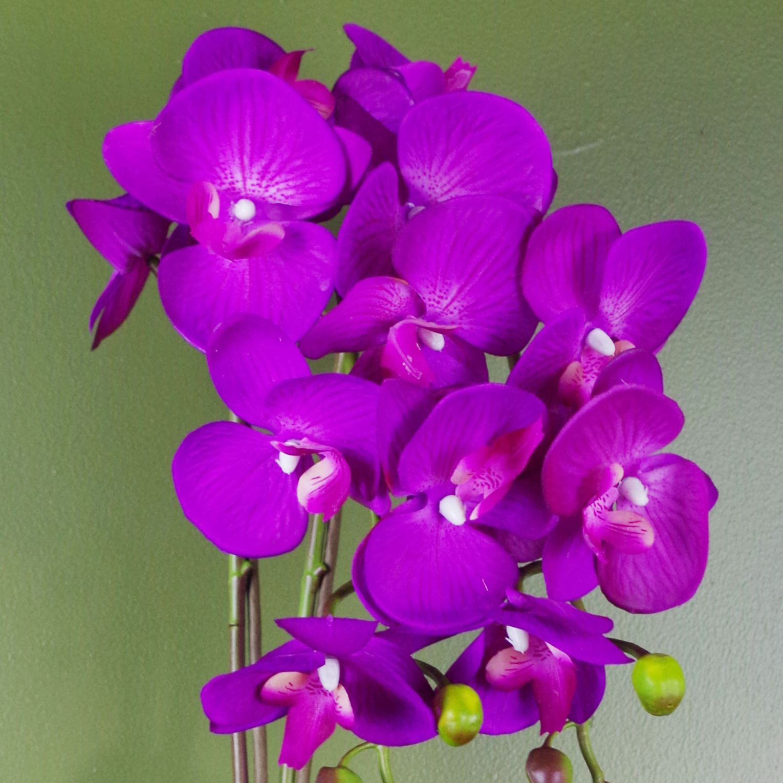 Bild 76 von 280