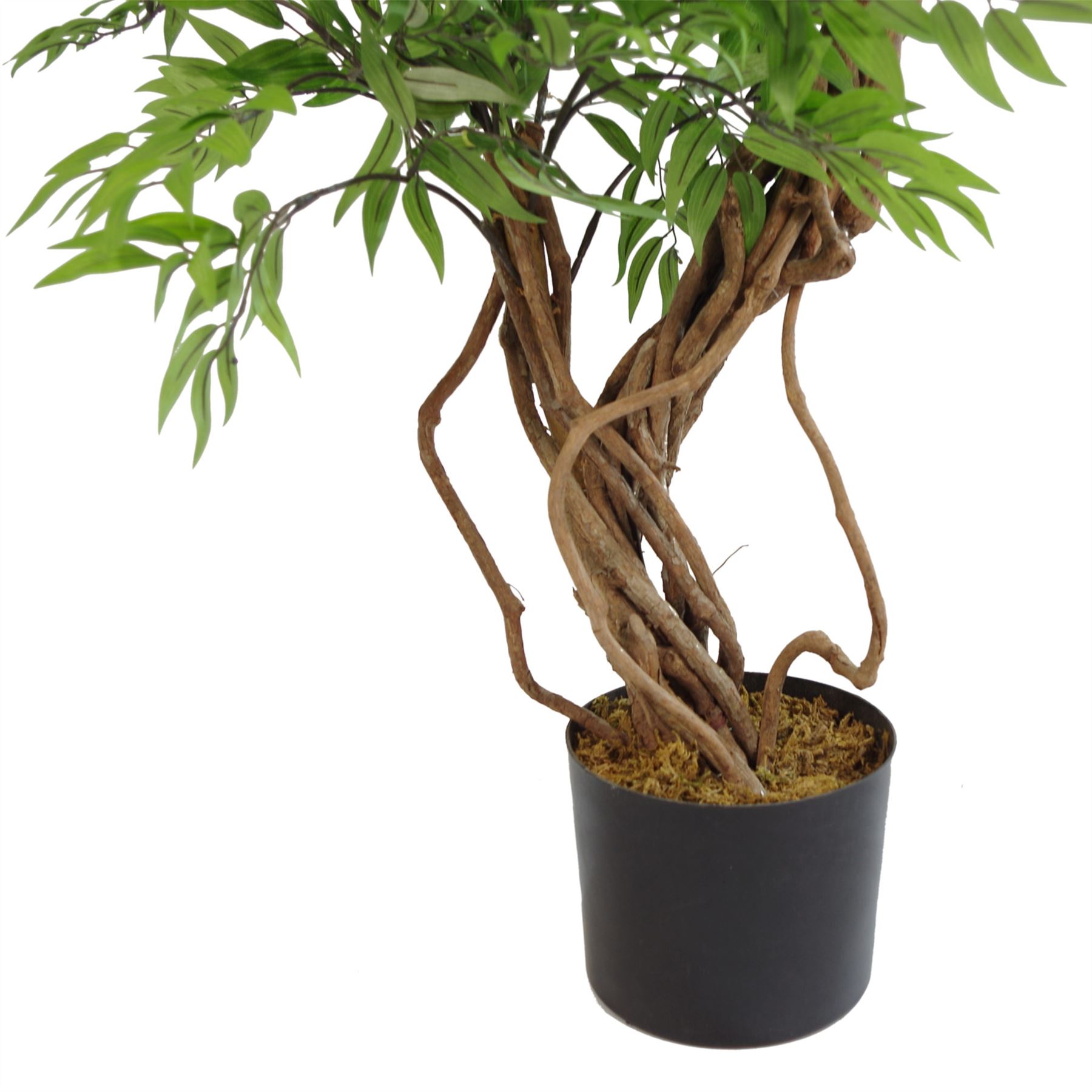 LARGE Ruscus Trees Artificial Ruscus Ficus - Home or Office Decor - Picture 9 of 20