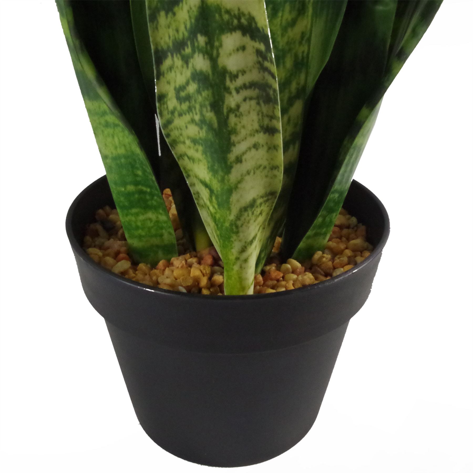 thumbnail interactive-video image 1 of Realistic Artificial Tropical Plant - Cactus & Sansevieria Succulent - Leaf Brand 1 of 6