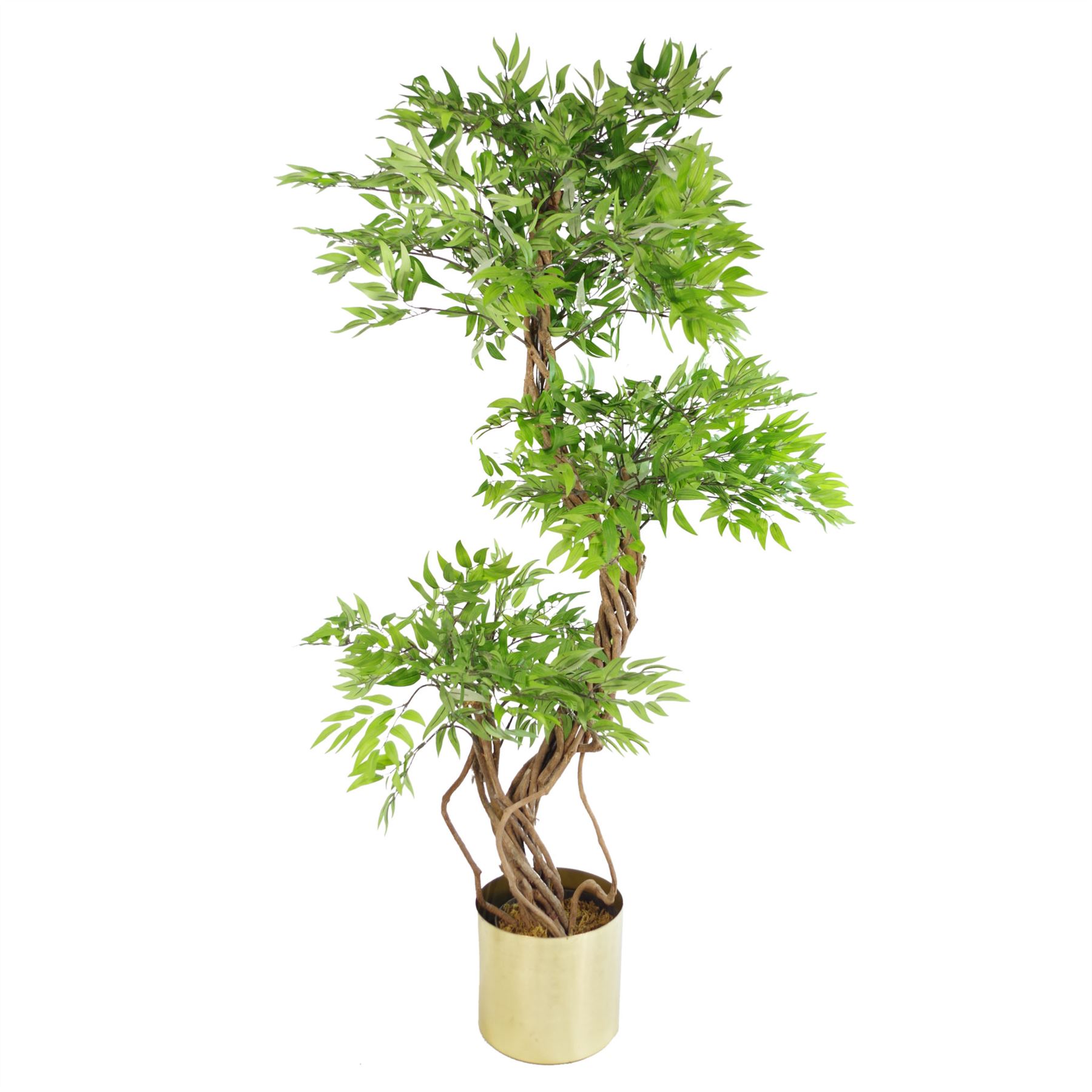 LARGE Ruscus Trees Artificial Ruscus Ficus - Home or Office Decor - Picture 11 of 20