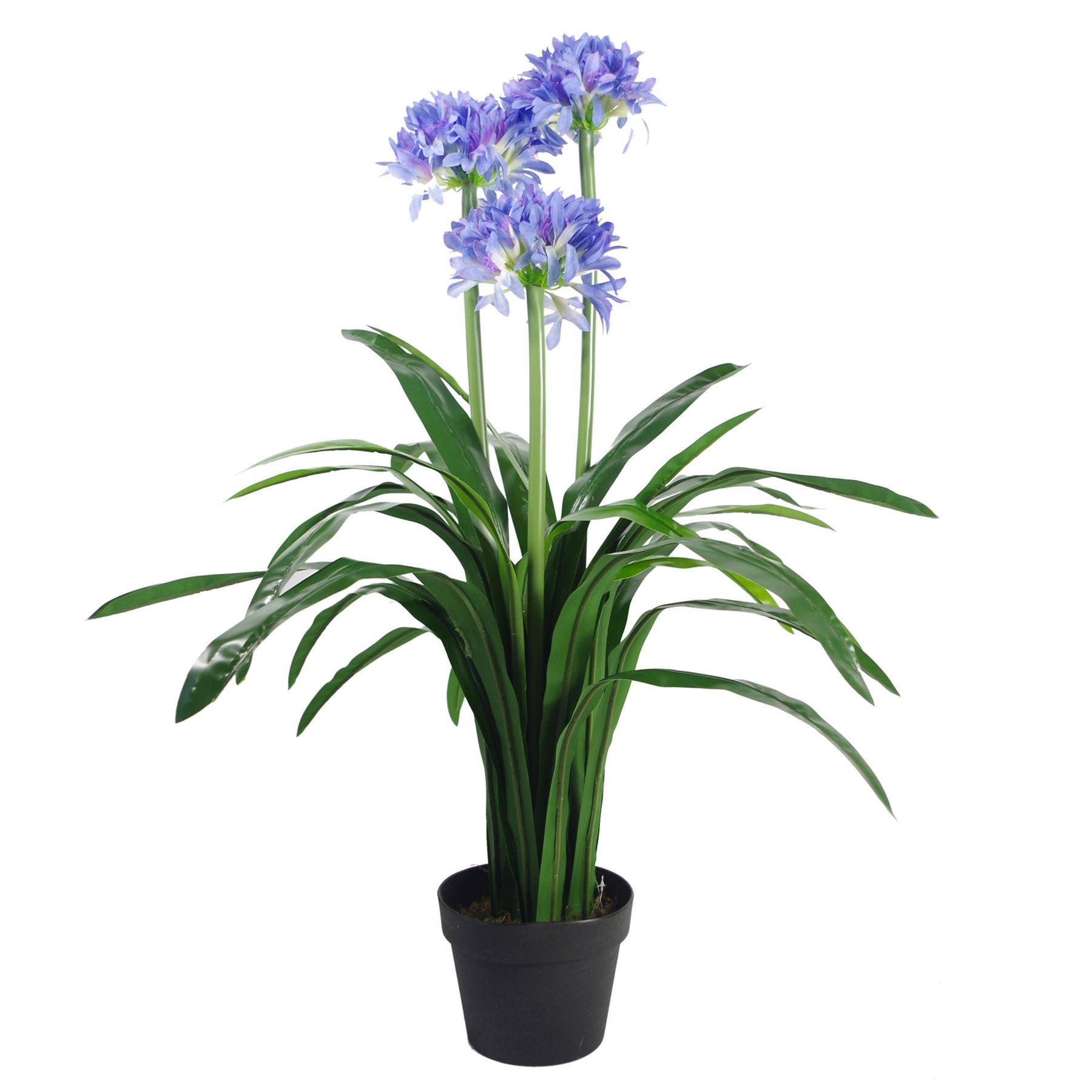 Artificial Realistic Plants Large 3ft 90cm Lots of Designs - Picture 3 of 34