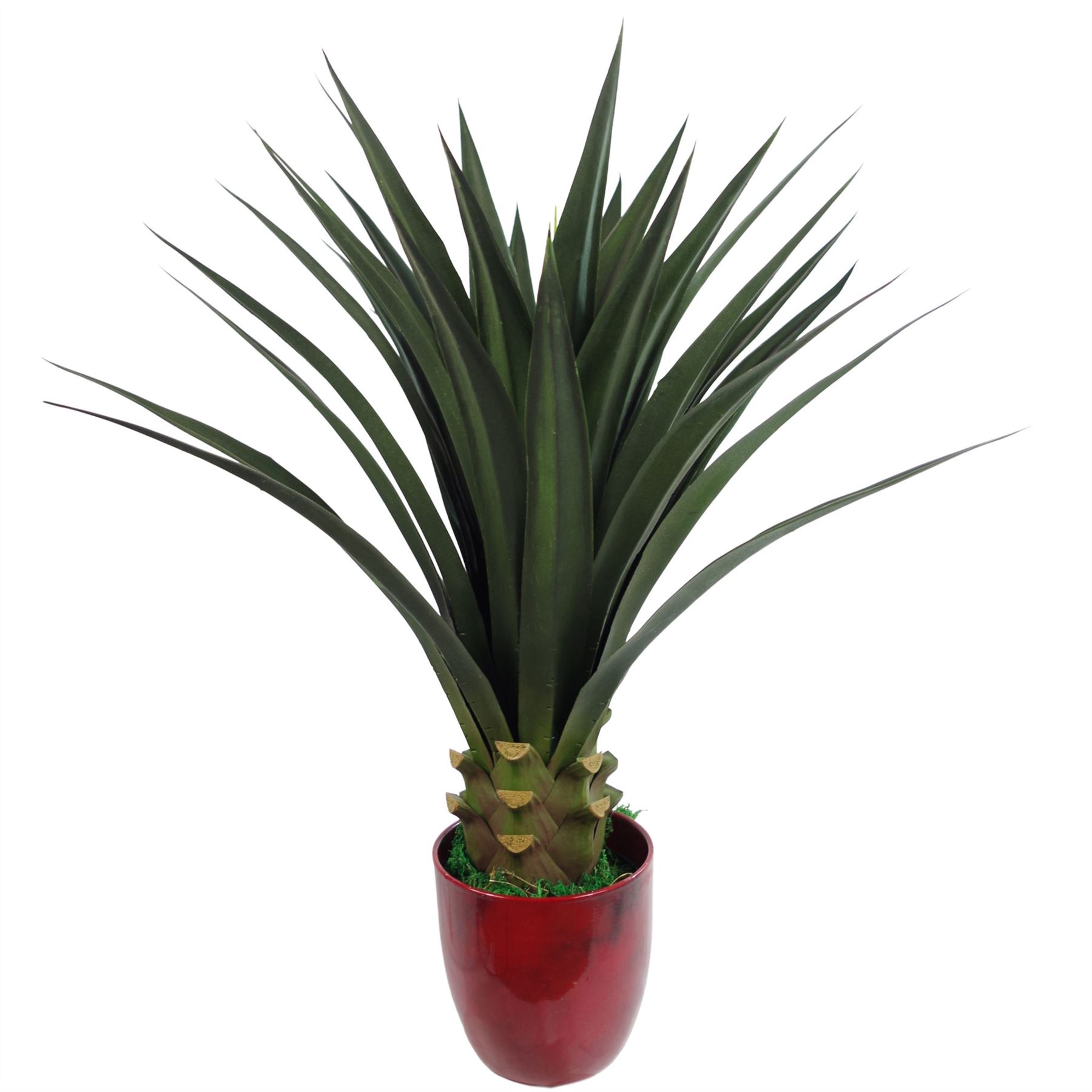 Artificial Realistic Plants Large 3ft 90cm Lots of Designs - Picture 32 of 34