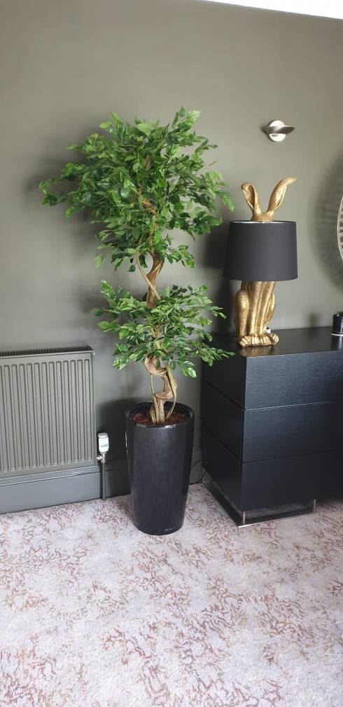 LARGE Ruscus Trees Artificial Ruscus Ficus - Home or Office Decor - Picture 16 of 20
