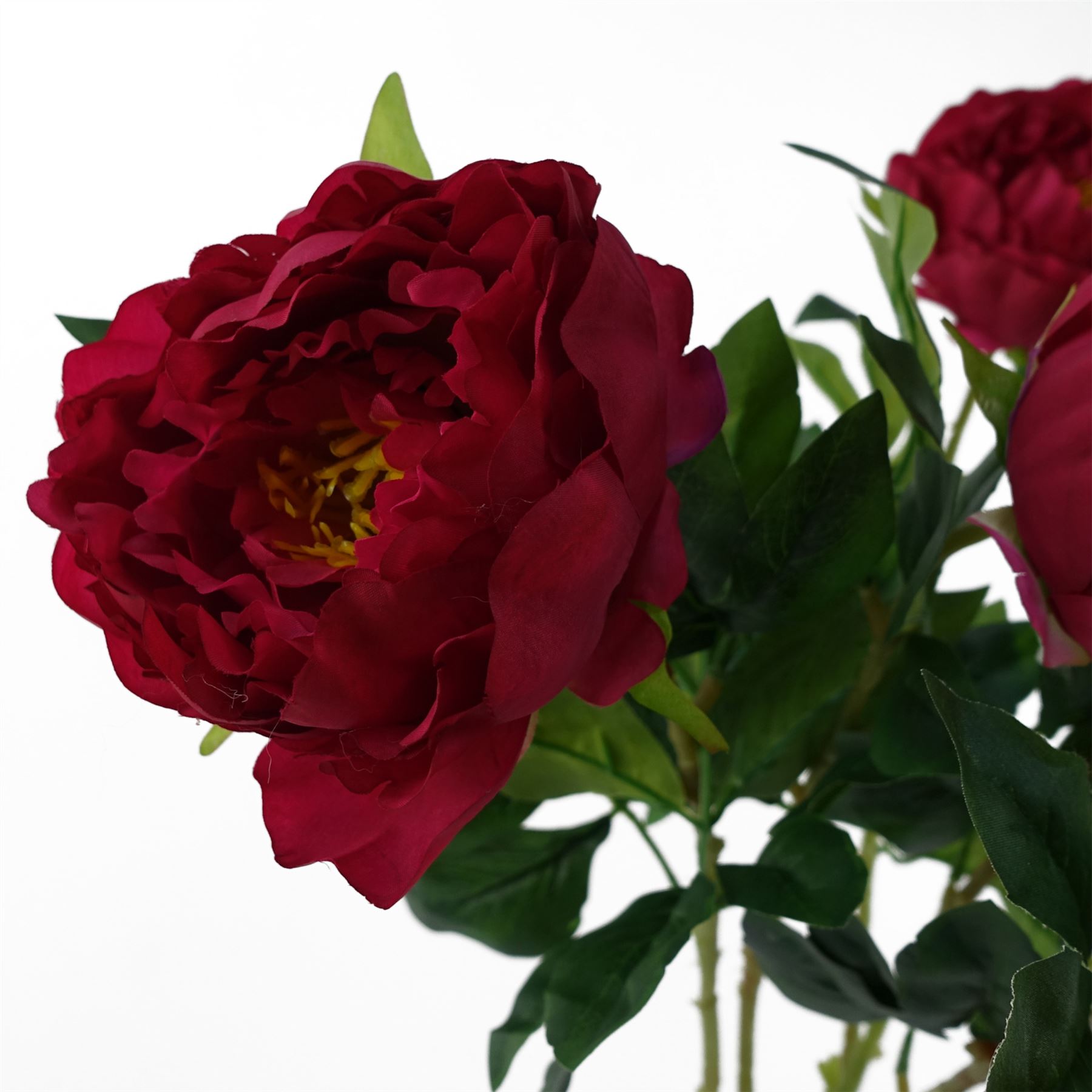 Bild 73 von 176