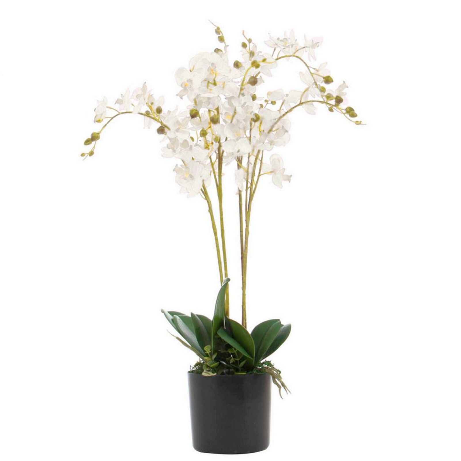 Artificial Orchids Flower Plant Displays - with Planters by Leaf Design