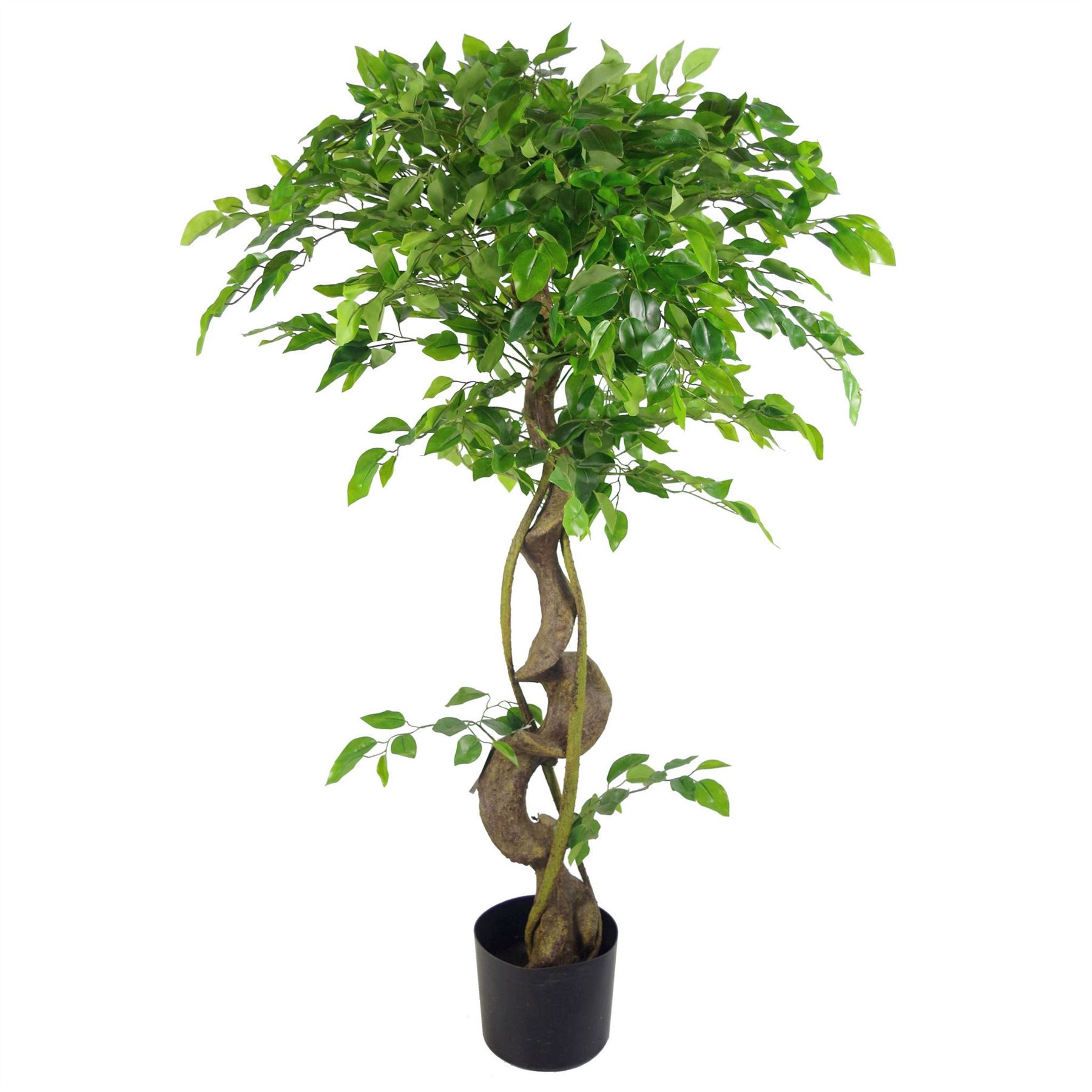 LARGE Ruscus Trees Artificial Ruscus Ficus - Home or Office Decor - Picture 3 of 20