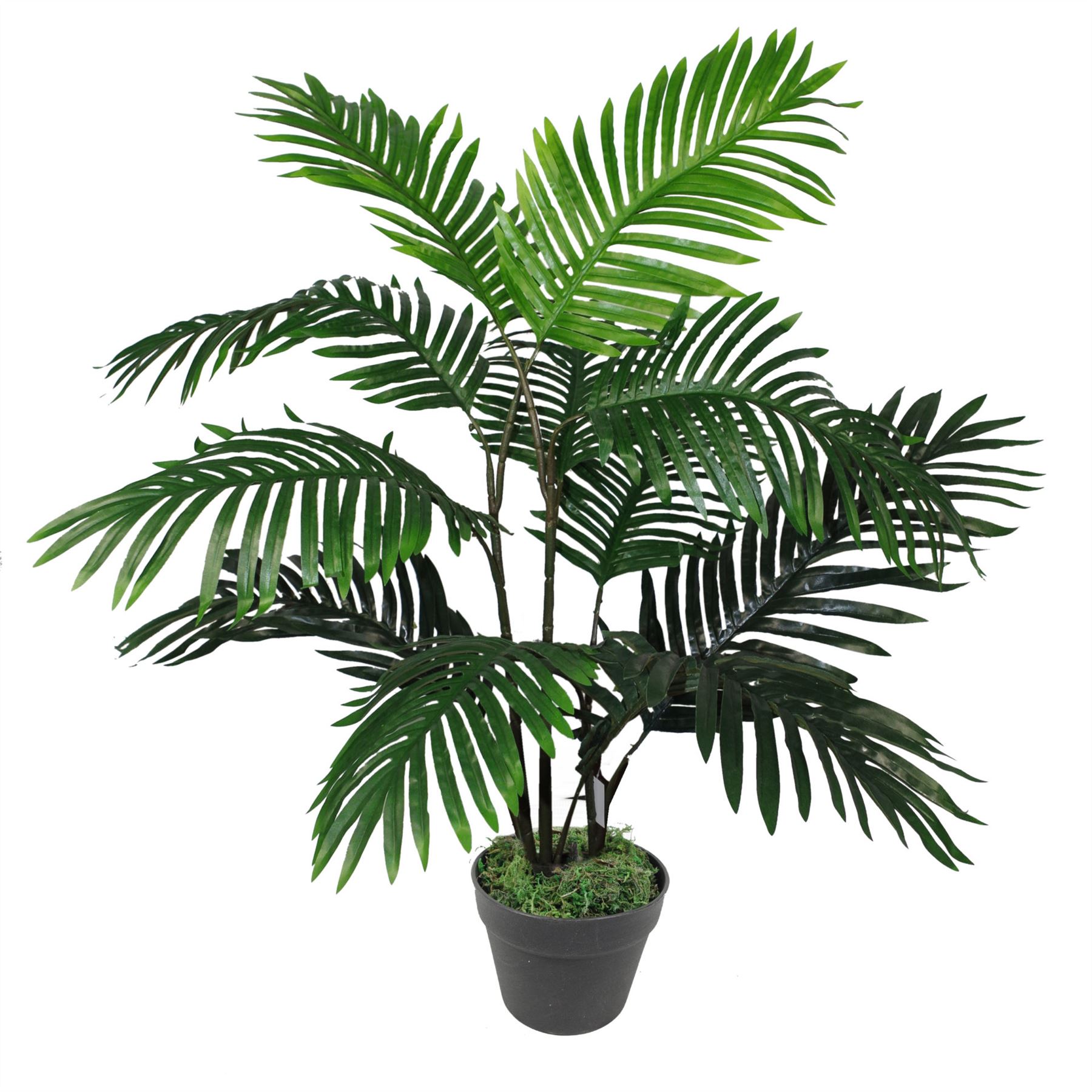 Artificial Realistic Plants Large 3ft 90cm Lots of Designs - Picture 4 of 34