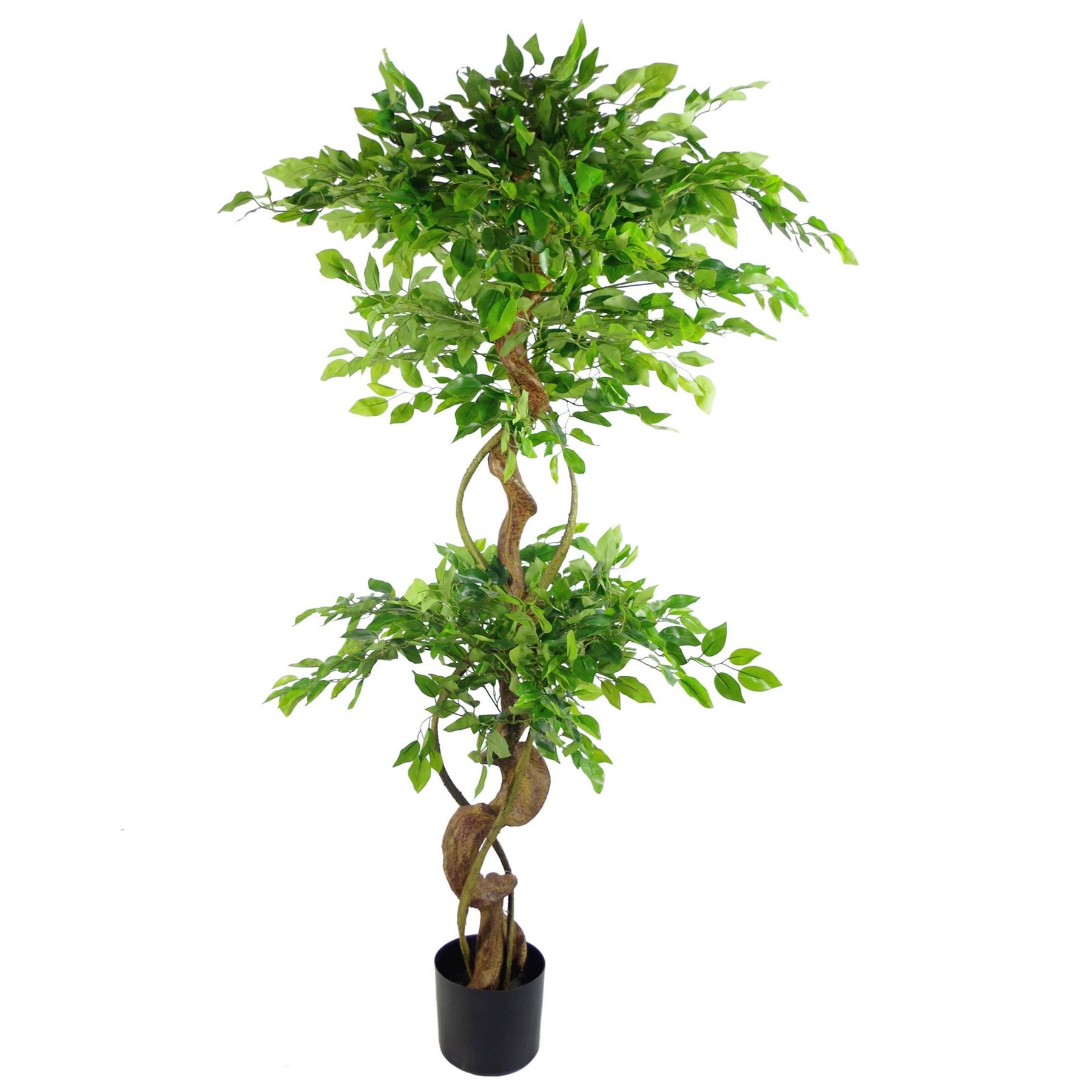 LARGE Ruscus Trees Artificial Ruscus Ficus - Home or Office Decor - Picture 14 of 20