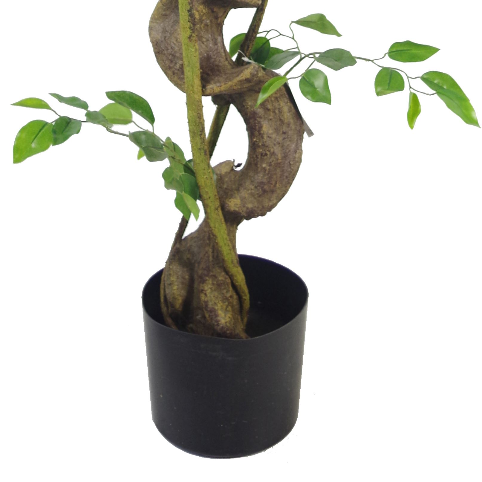 LARGE Ruscus Trees Artificial Ruscus Ficus - Home or Office Decor - Picture 6 of 20