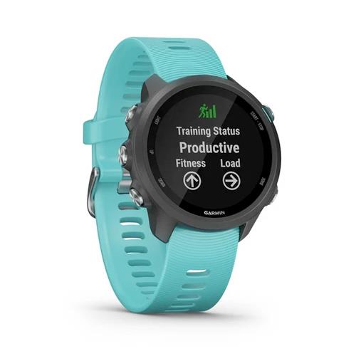 garmin 245 music ebay