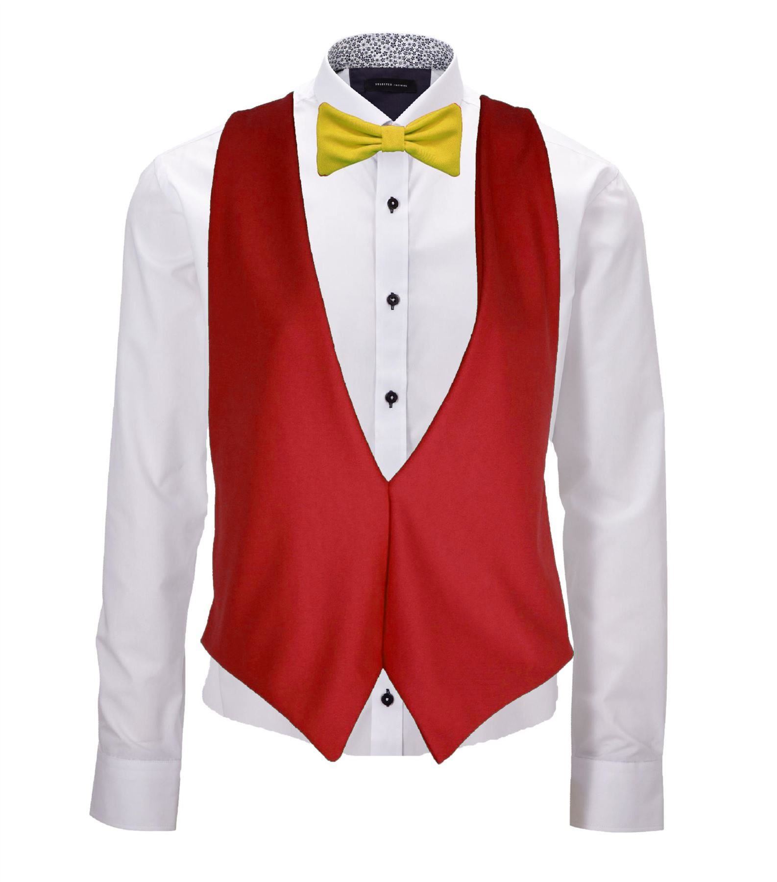 Adults Spain Espania National Flag Backless Waistcoat & Bowtie Fancy Dress - Picture 2 of 3