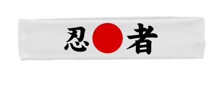 Mixed Martial Arts Japanese Chinese Brazilian Combat Fighting Olympian Headbands - Picture 7 of 8