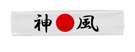 Mixed Martial Arts Japanese Chinese Brazilian Combat Fighting Olympian Headbands - Picture 4 of 8