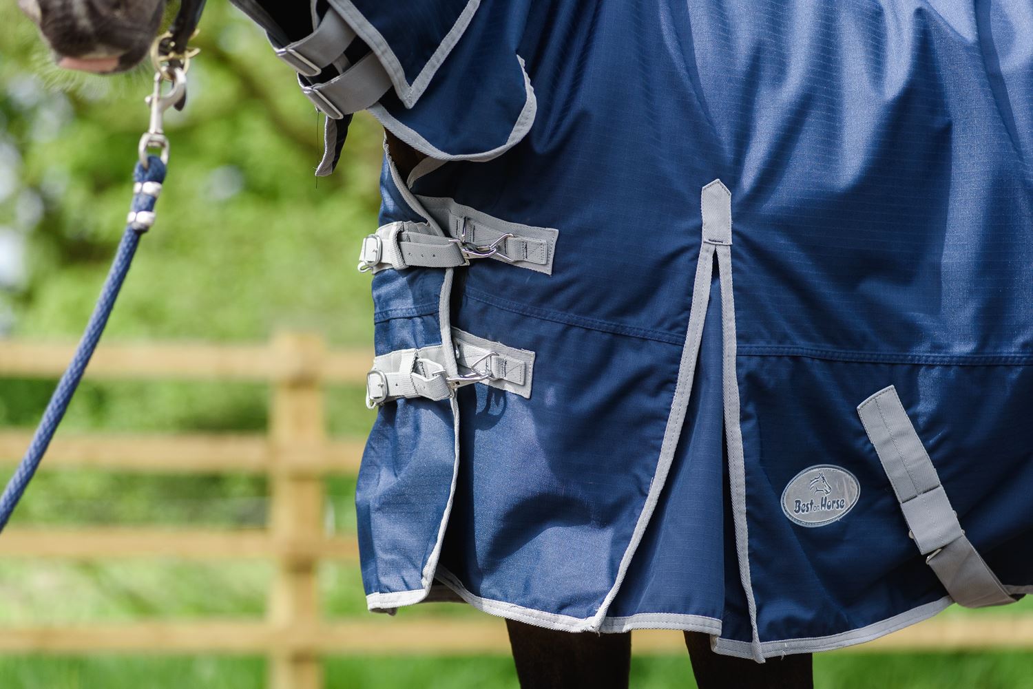 Best on Horse 180915 leichter Teppich - Bild 19 von 32