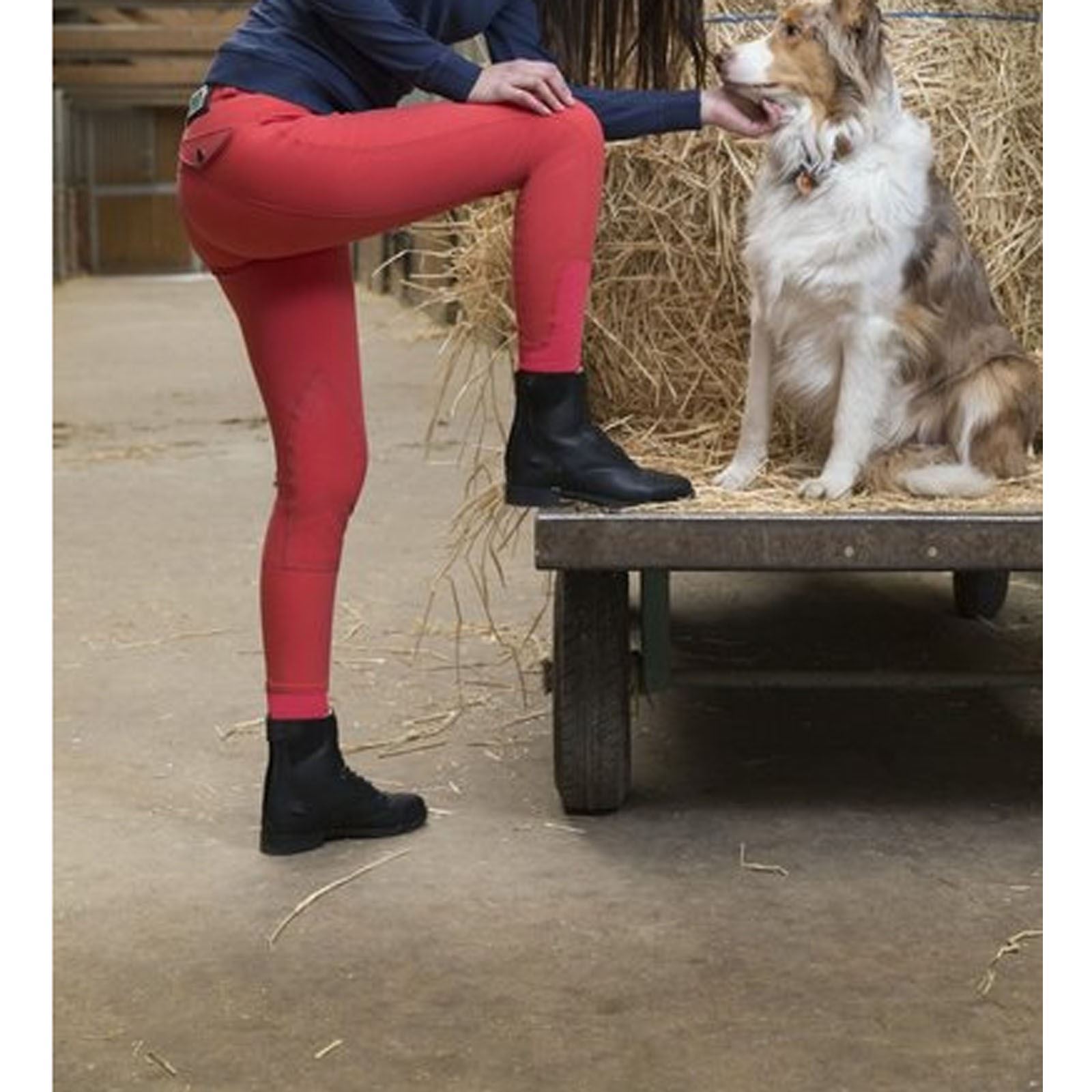 Equi-Theme Adult Junior Verona Patch Breathable ContouROT Knee Patch Verona Riding Breeches 2e5782 Equi-Theme Adult Junior Verona Patch Breathable ContouROT Knee Patch Verona Riding Breeches 2e5782