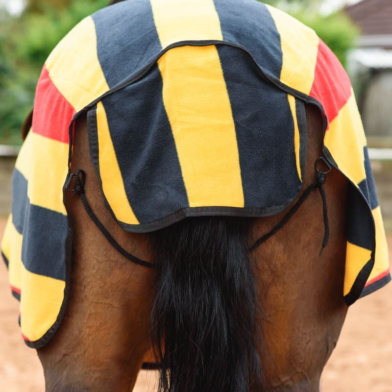 Everest Kidney Horse Pony Ride On Striped Fleece Hack Quarter Exercise