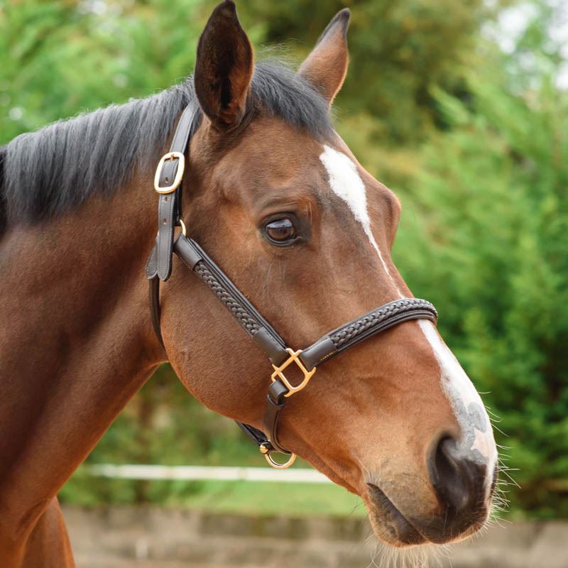 Horse Leather Headcollar Halter Black Brown Braided Plaited Equine Pony Cob Full - Picture 7 of 12
