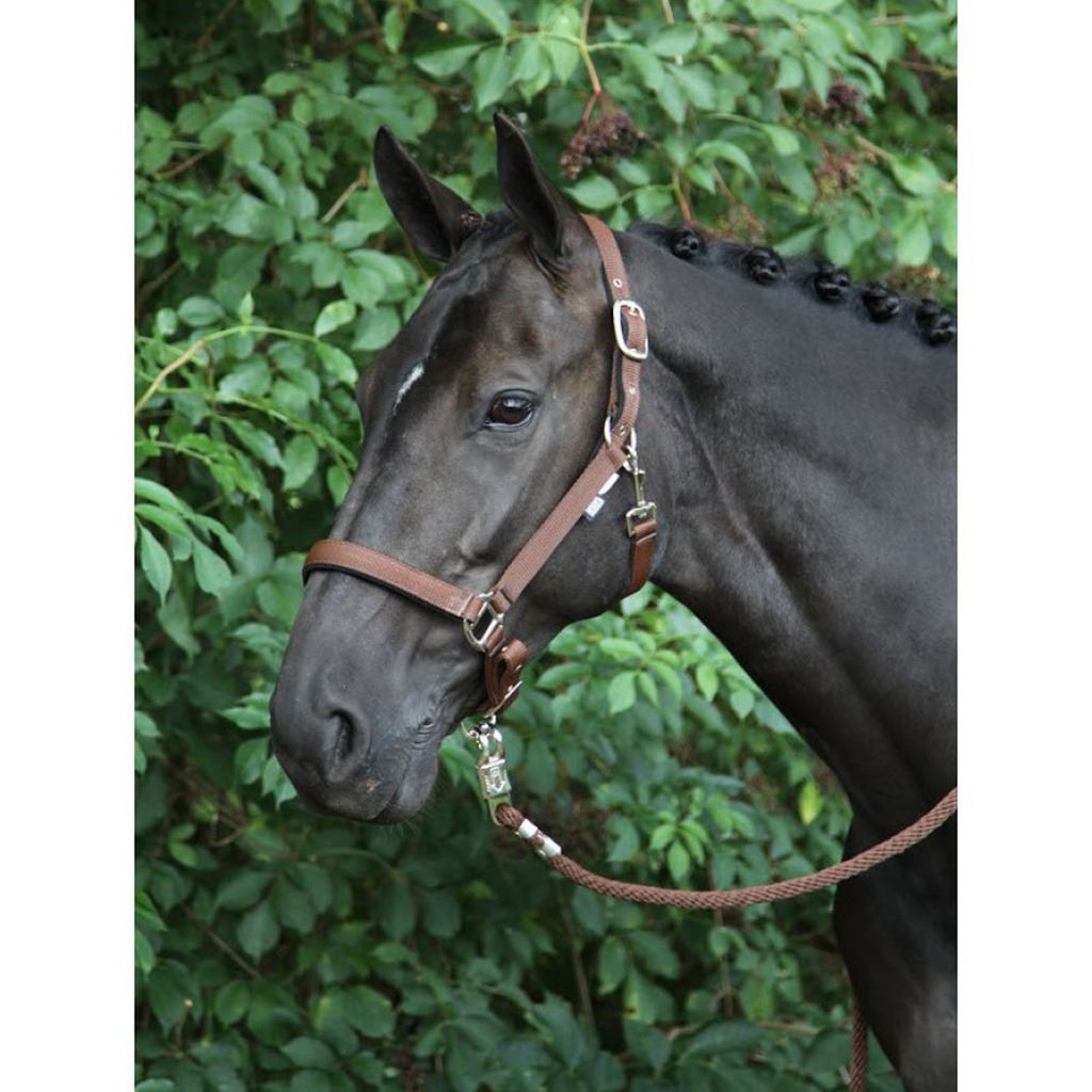 Horka Nylon Snake Headcollar Adjustable Leather Headpiece Noseband Horse Halter