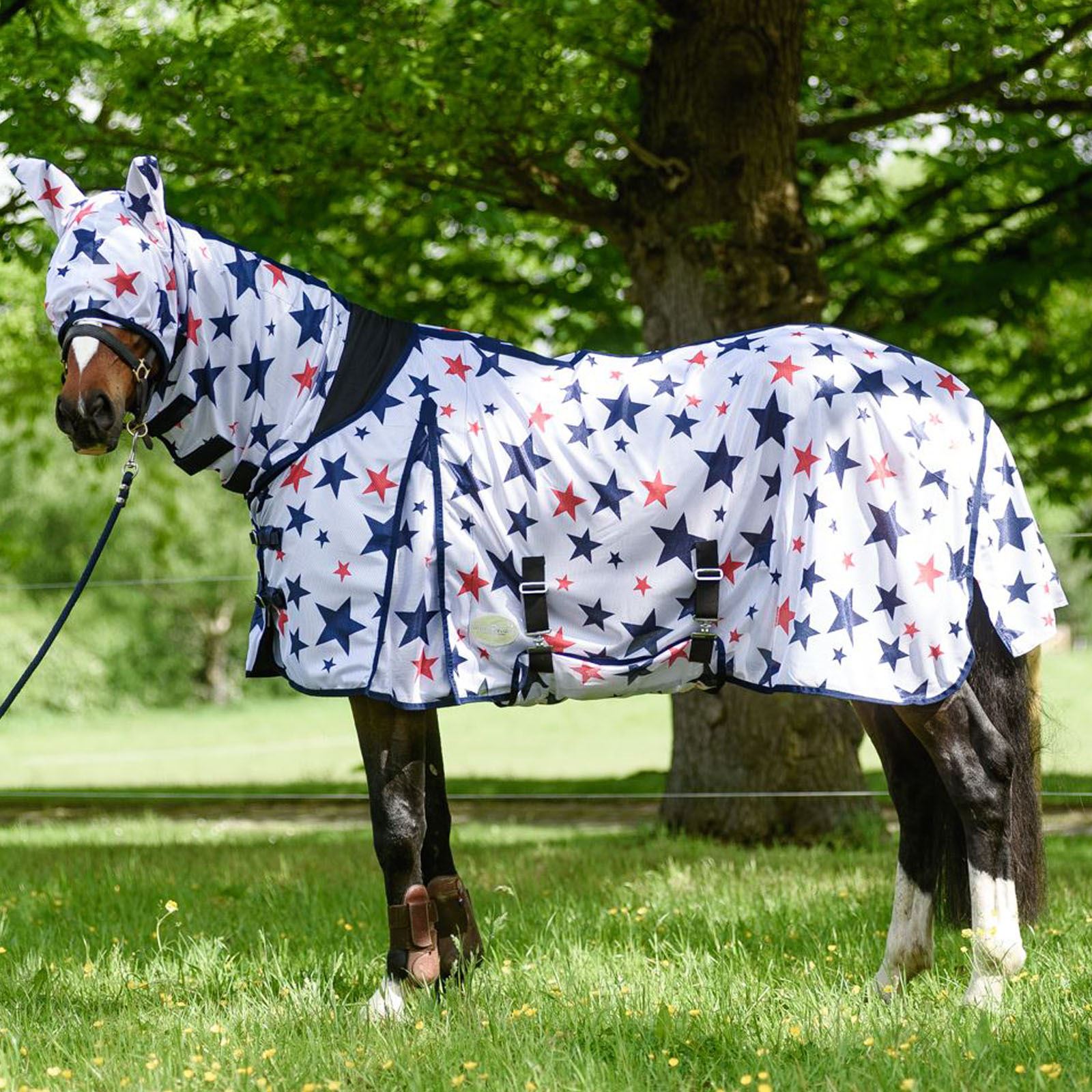 BOH 0g Print Full Fixed Combo Neck Breathable Summer Sheet Mesh Turnout