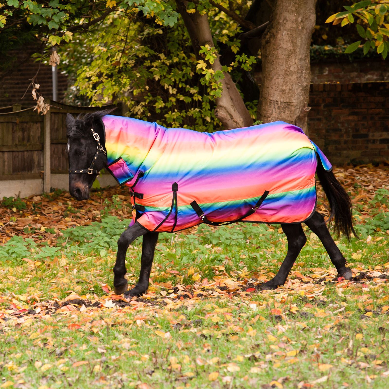 Best On Horse 300g Heavyweight Full Fixed Neck Rainbow Print Winter