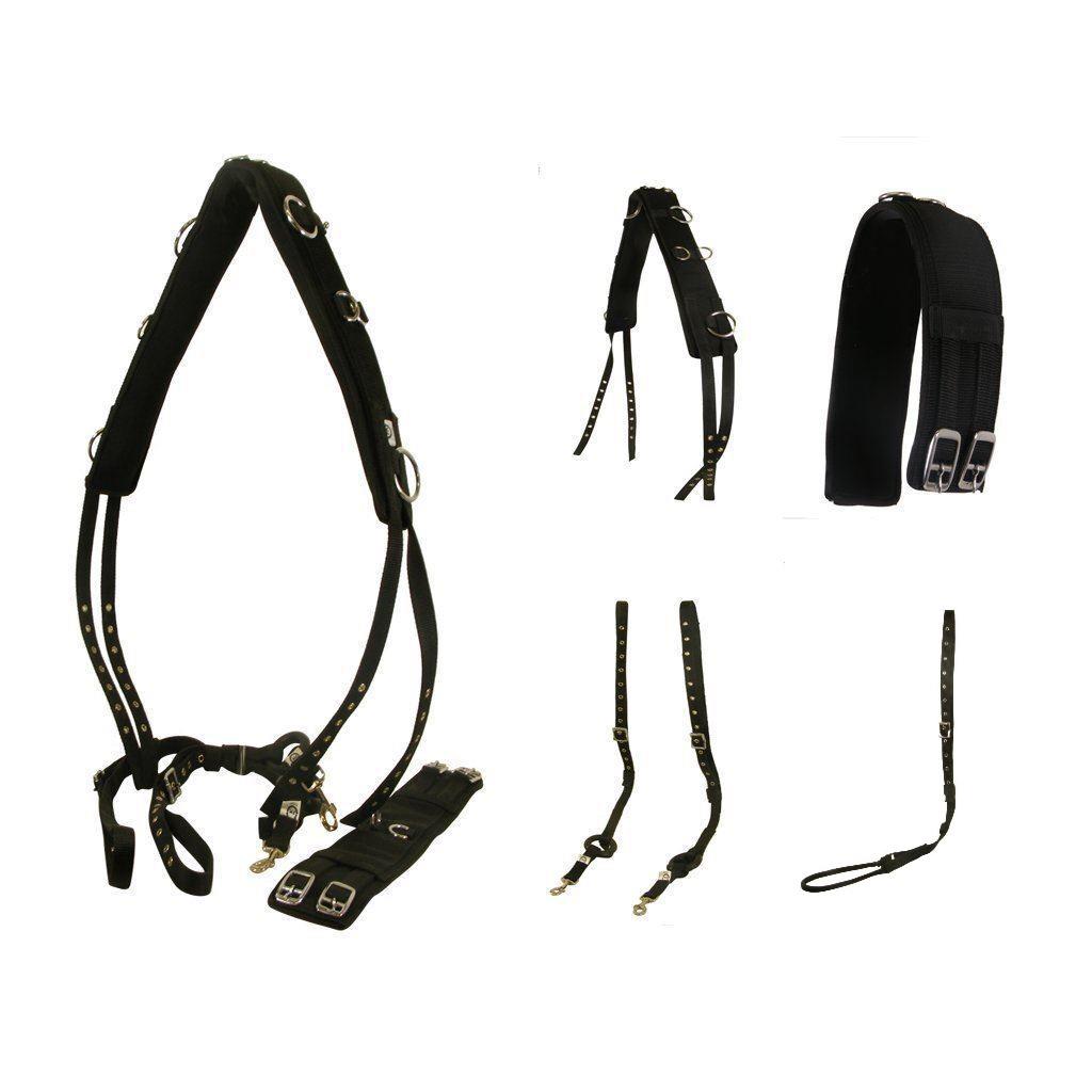 Lunge Line Reins Pessoa Set Yard Field Horse Lunging Training Roller