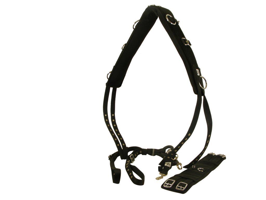 Lunge Line Reins Pessoa Set Yard Field Horse Lunging Training Roller