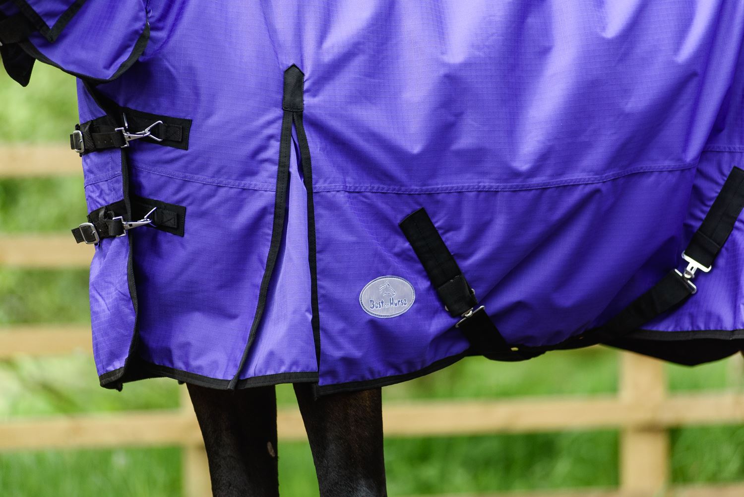 Best on Horse 180915 leichter Teppich - Bild 23 von 32