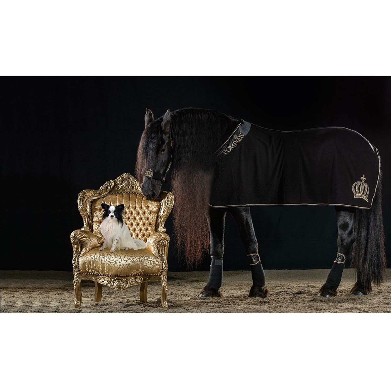 Goldenline Cooler Fleece Rug Satin Breathable Polar Padded Winter Warm Black - Picture 4 of 6