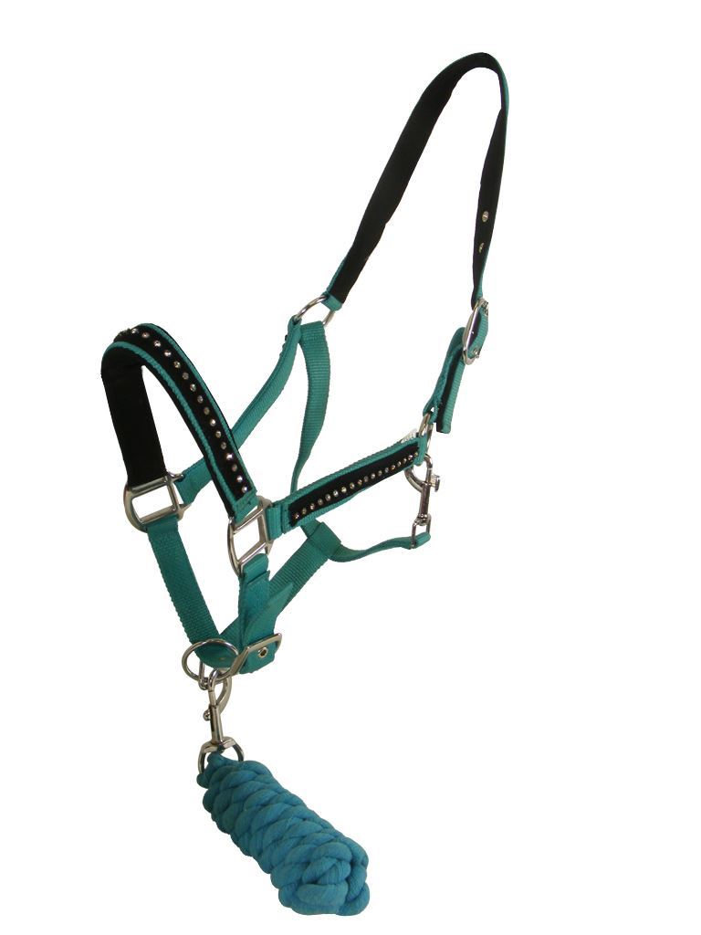 PADDED HORSE COB PONY EQUESTRIAN HALTER BRIDLE HEADCOLLAR LEADROPE SET
