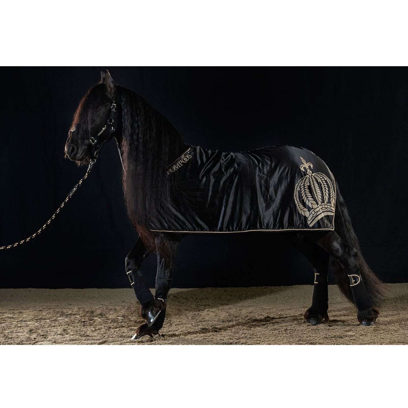 Goldenline Cooler Fleece Rug Satin Breathable Polar Padded Winter Warm Black - Picture 6 of 6