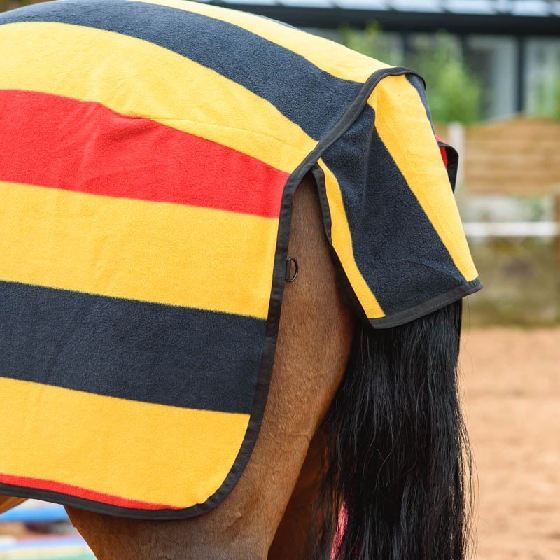 Everest Kidney Horse Pony Ride On Striped Fleece Hack Quarter Exercise