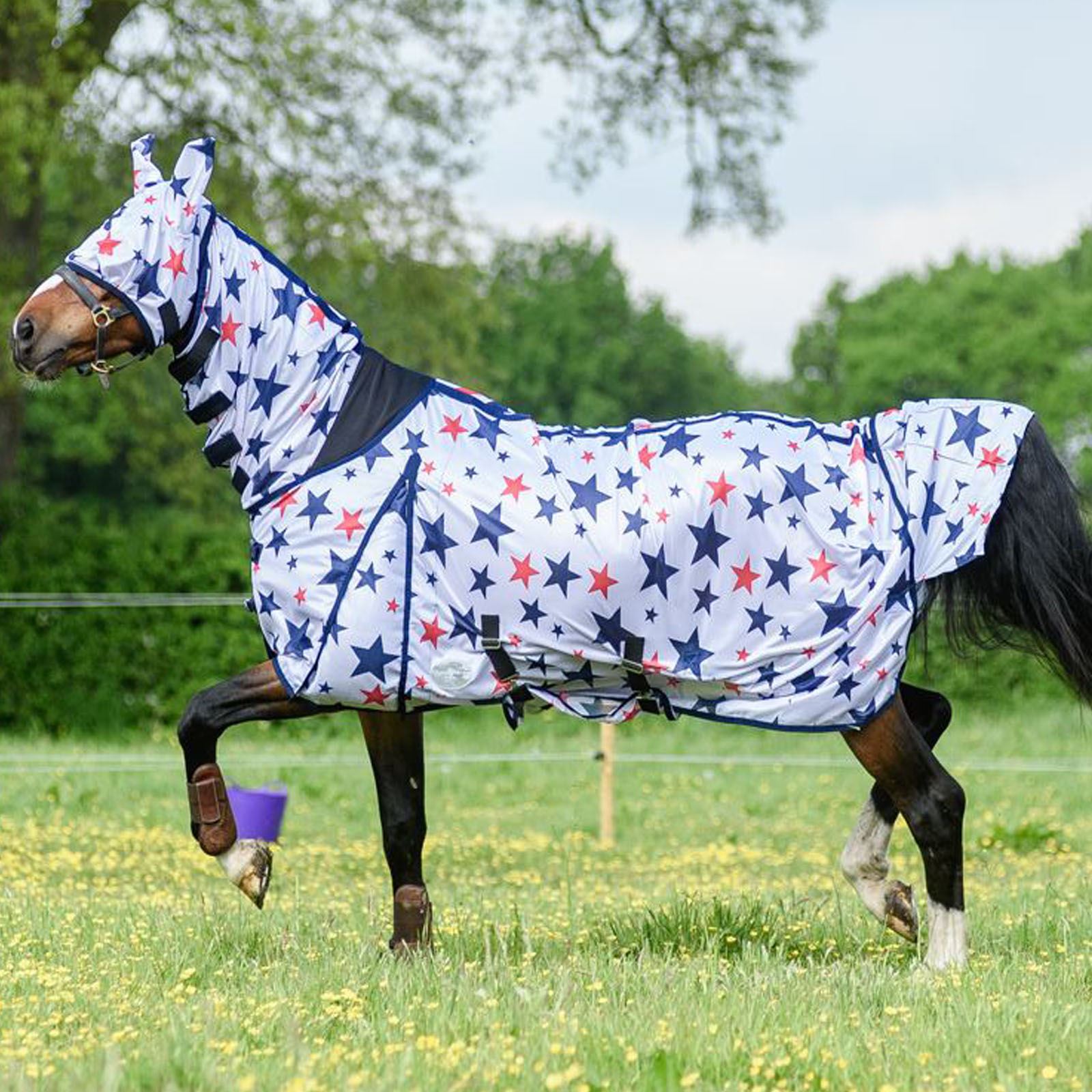 Best On Horse Star Print Combo Fly Rug Full Neck Face Ears Bug Protection Sheet Grey