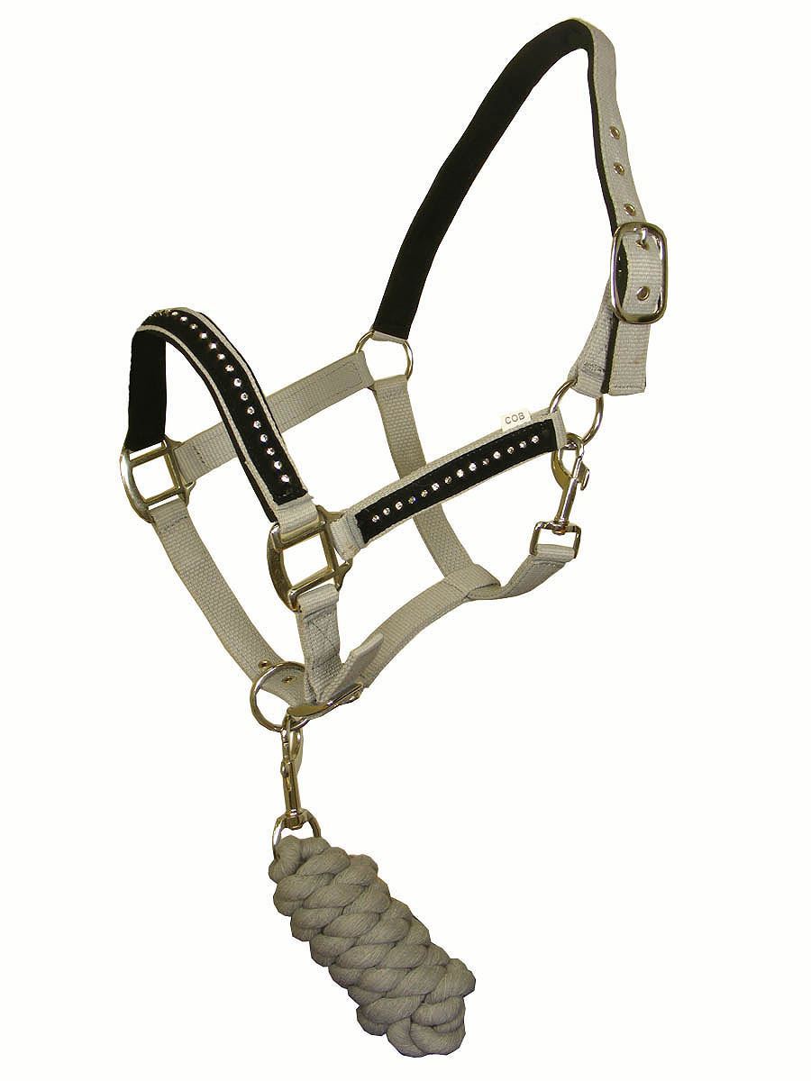 PADDED HORSE COB PONY EQUESTRIAN HALTER BRIDLE HEADCOLLAR LEADROPE SET ALL SIZES eBay