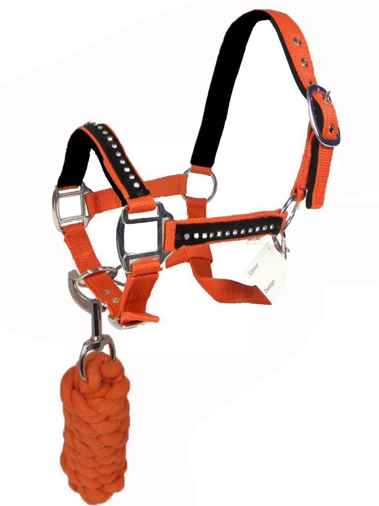 PADDED HORSE COB PONY EQUESTRIAN HALTER BRIDLE HEADCOLLAR LEADROPE SET