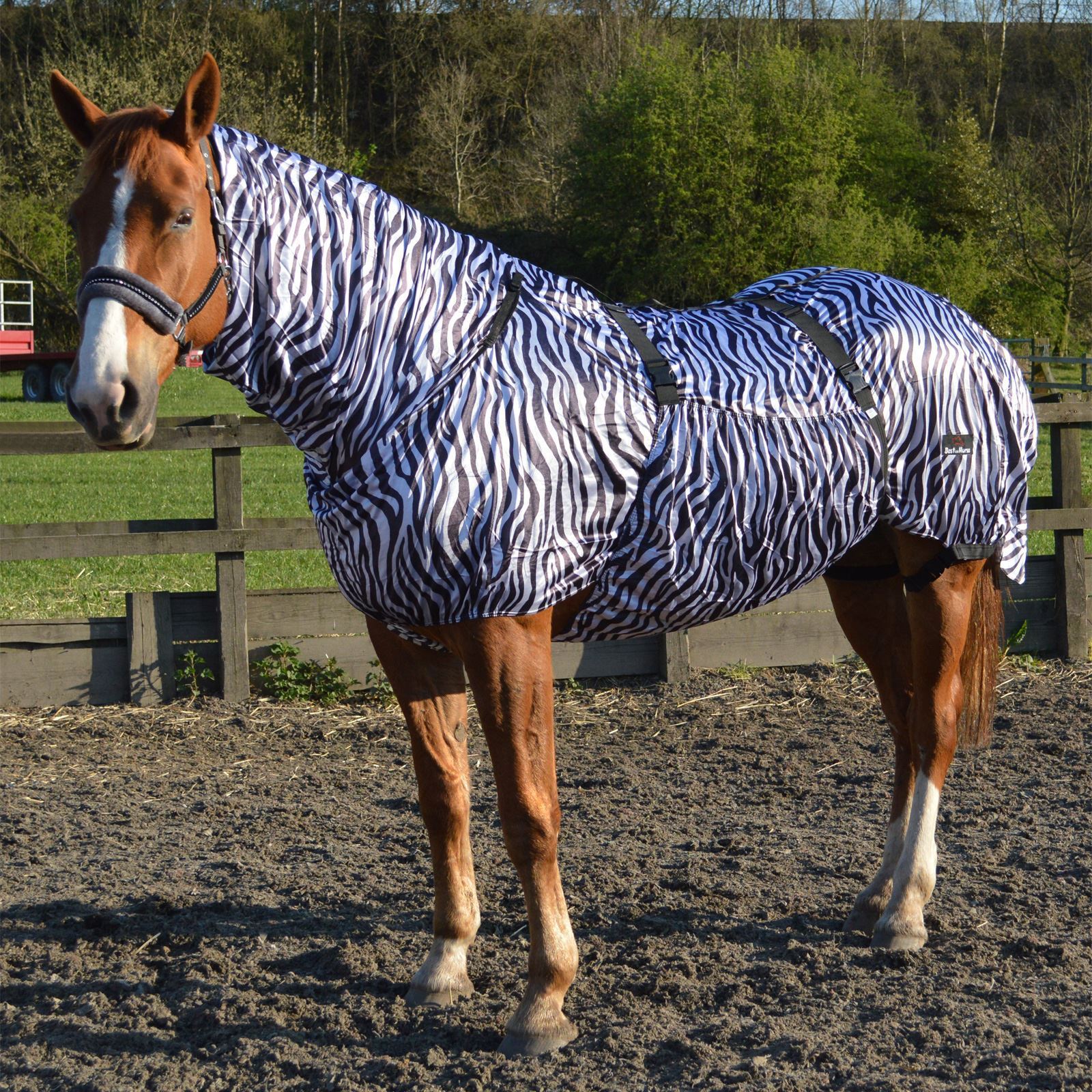 Horse Rugs & Sheets Equestrian Full Neck Breathable Summer Mesh Outdoor