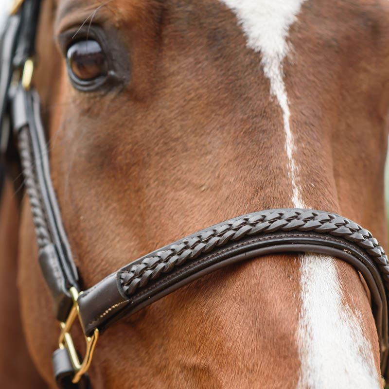 Horse Leather Headcollar Halter Black Brown Braided Plaited Equine Pony Cob Full - Picture 12 of 12