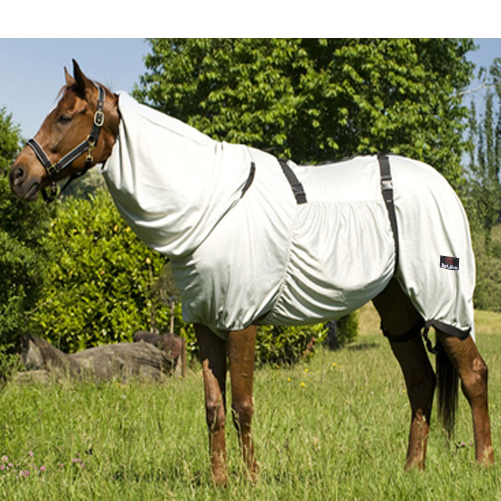 PONY HORSE FLY MIDGE ECZEMA COMBO RUG BREATHABLE COVER SUMMER BLANKET
