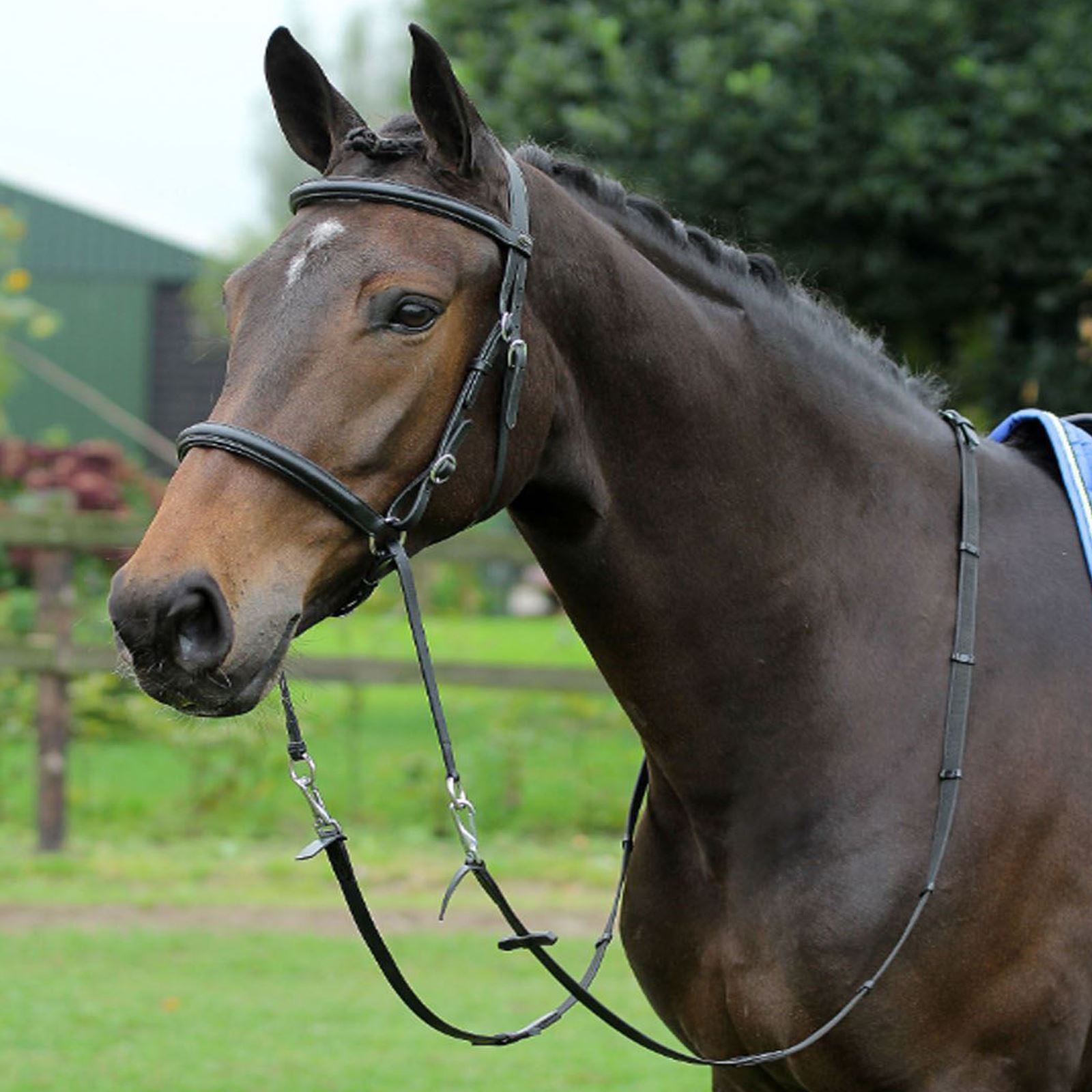 Horka Leather Soft Padded Headpiece Pony Horse Riding Comfortable