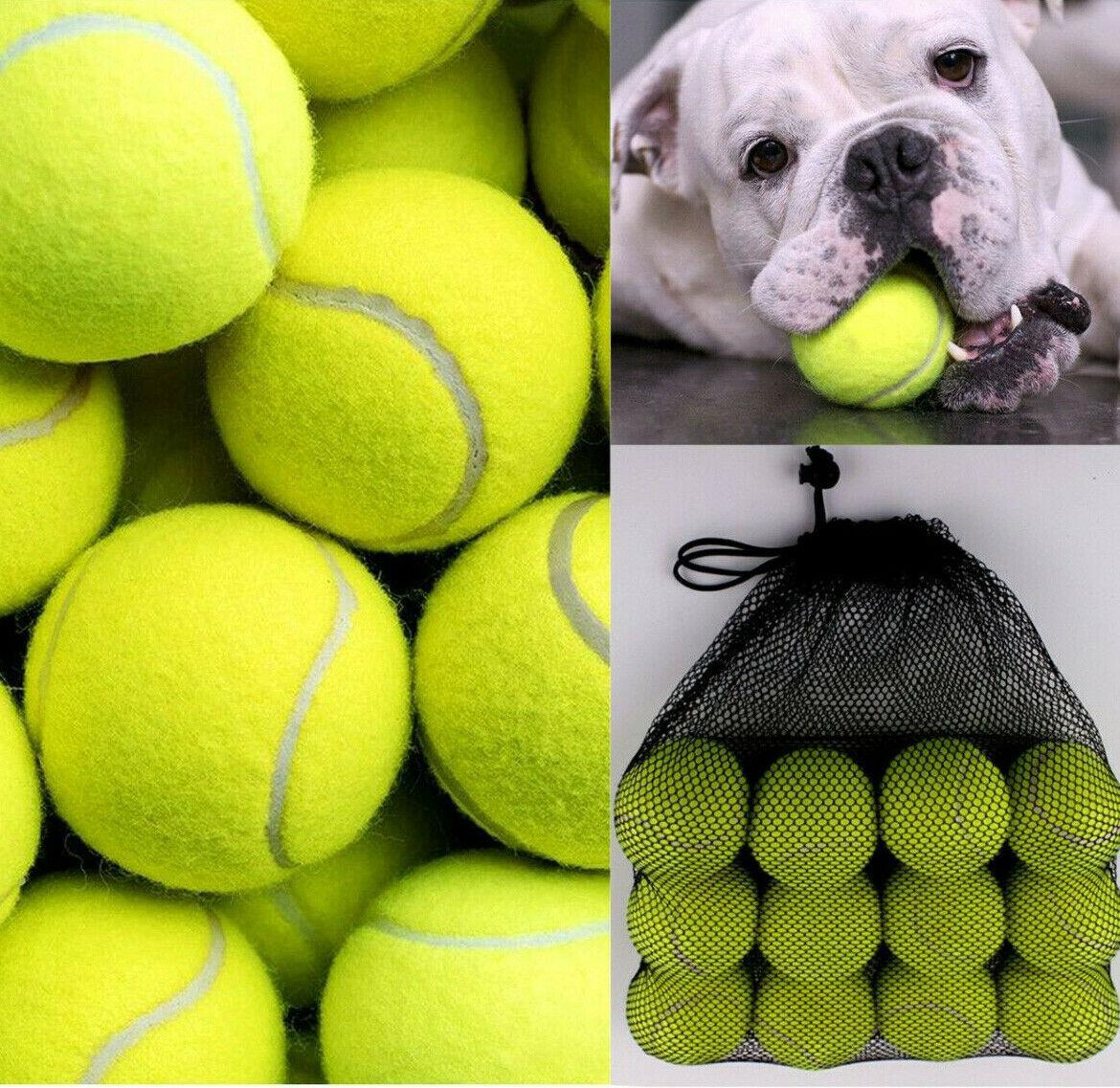 1-24 Tennis Balls High Quality Sports Outdoor Cricket Beach Dog Fetch Toy Ball - Picture 6 of 18