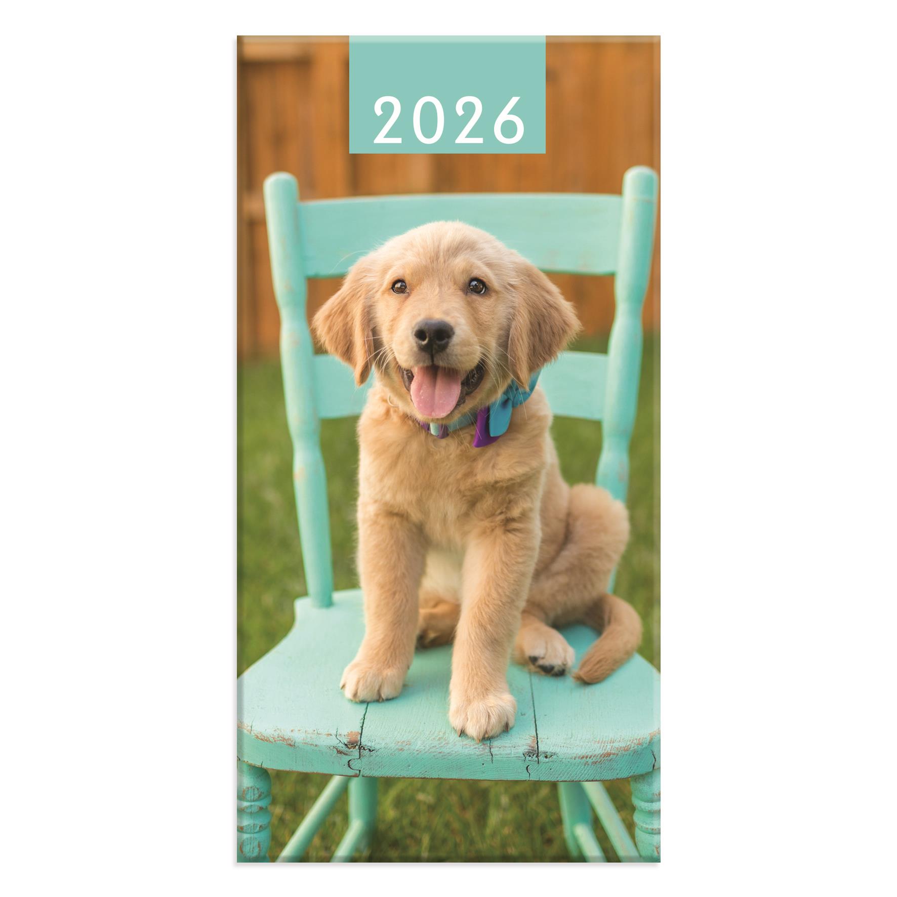 2026 Diary Slim Week To View Cat Dog Hardback Pocket Weekly Planner Organiser - Picture 14 of 17