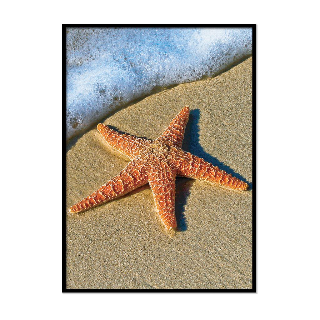 Beach Prints Coastal Wall Art Framed Sea Pictures Nature Ocean Bathroom décor - Picture 9 of 32