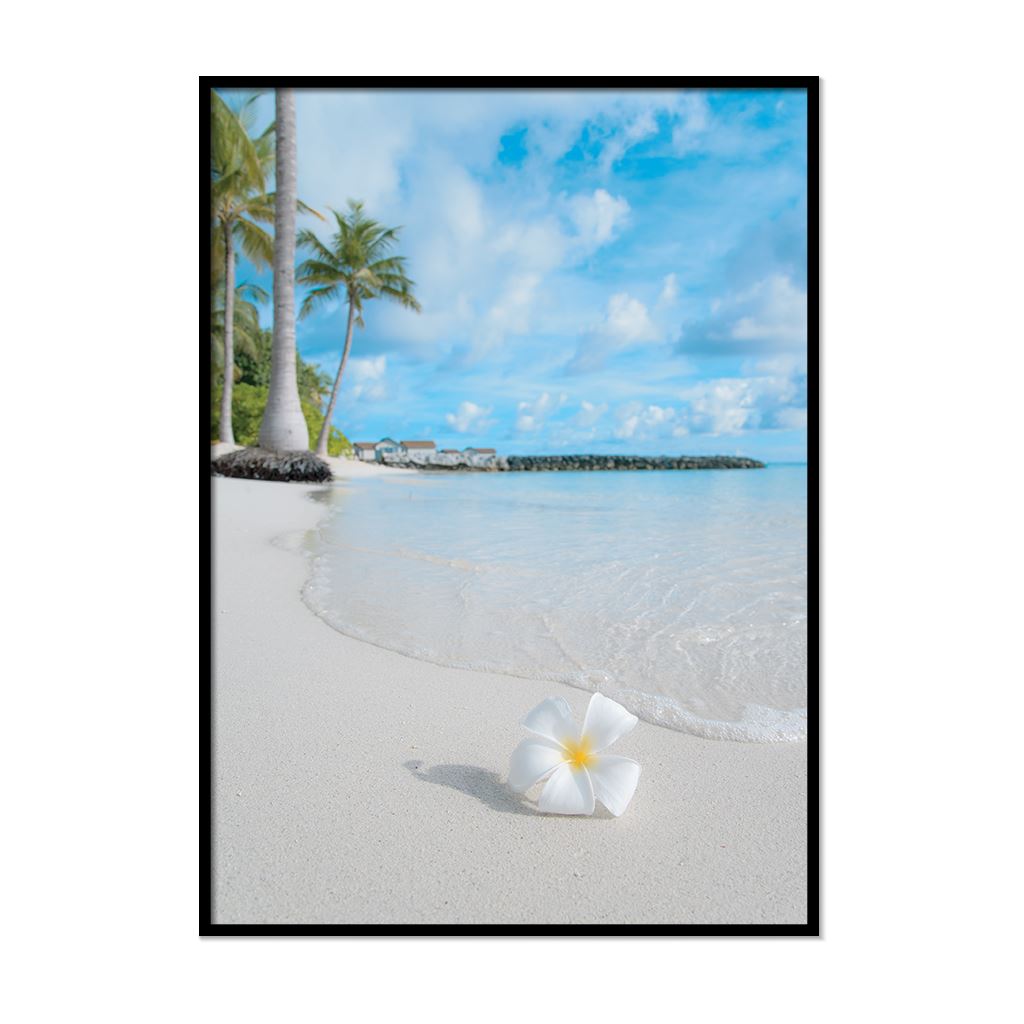 Beach Prints Coastal Wall Art Framed Sea Pictures Nature Ocean Bathroom décor - Picture 19 of 32