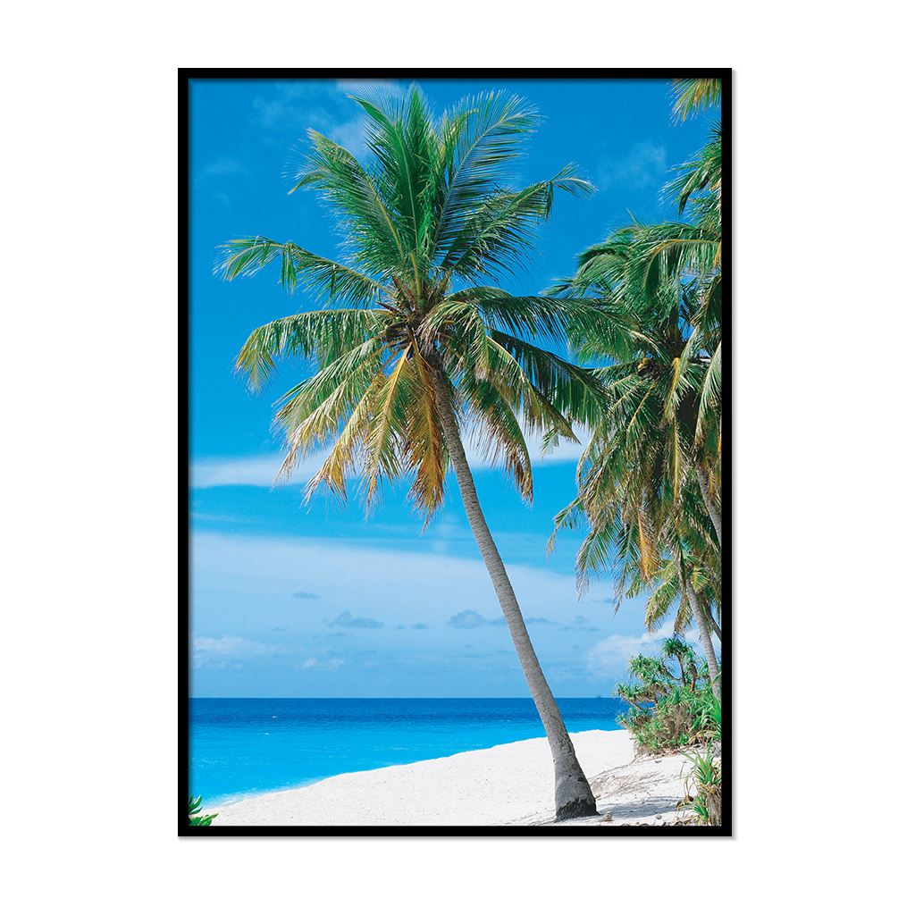 Beach Prints Coastal Wall Art Framed Sea Pictures Nature Ocean Bathroom décor - Picture 25 of 32
