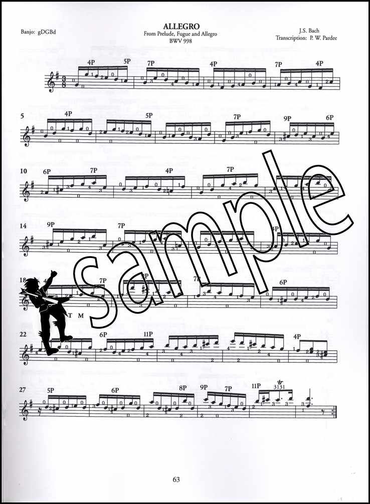 Banjo Picking A Complete Method TAB Music Book/Audio Learn How To Play