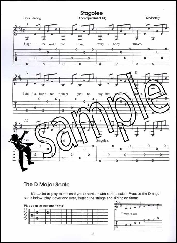 Learn to Play Bottleneck Guitar TAB Music Book/Audio Fred Sokolow
