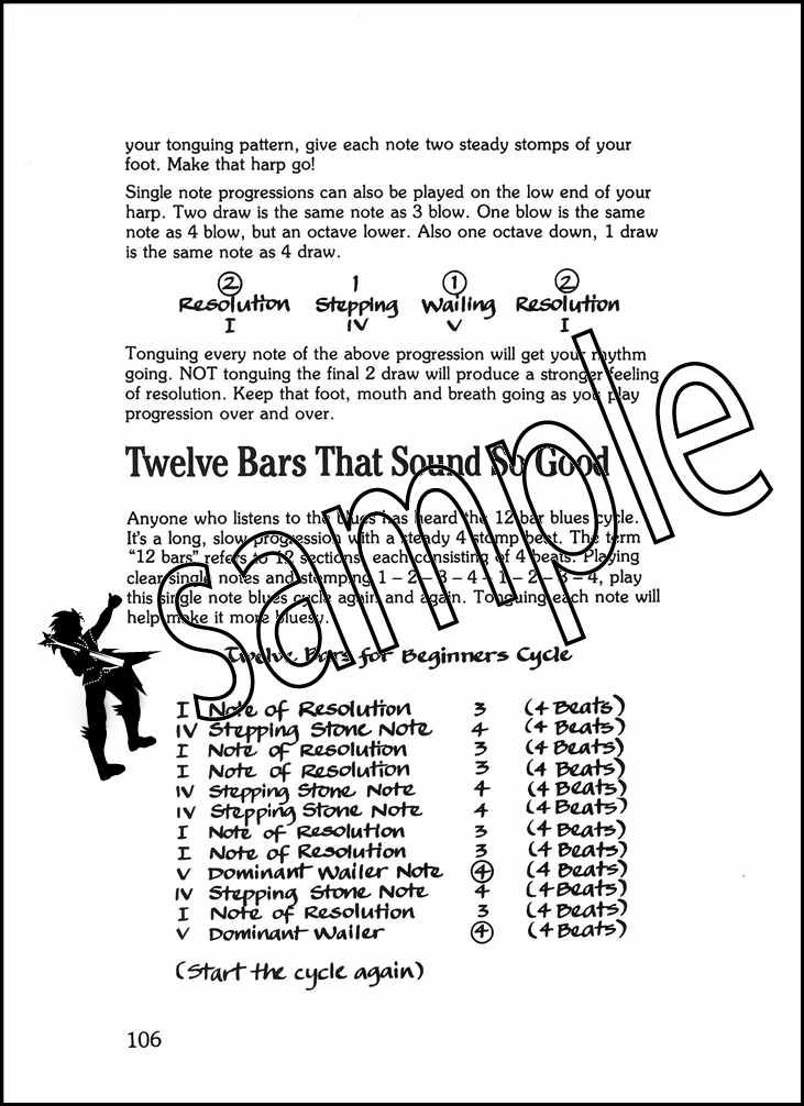 Rock n Blues Harmonica Sheet Music Book with CD Learn How To Play Diatonic | eBay