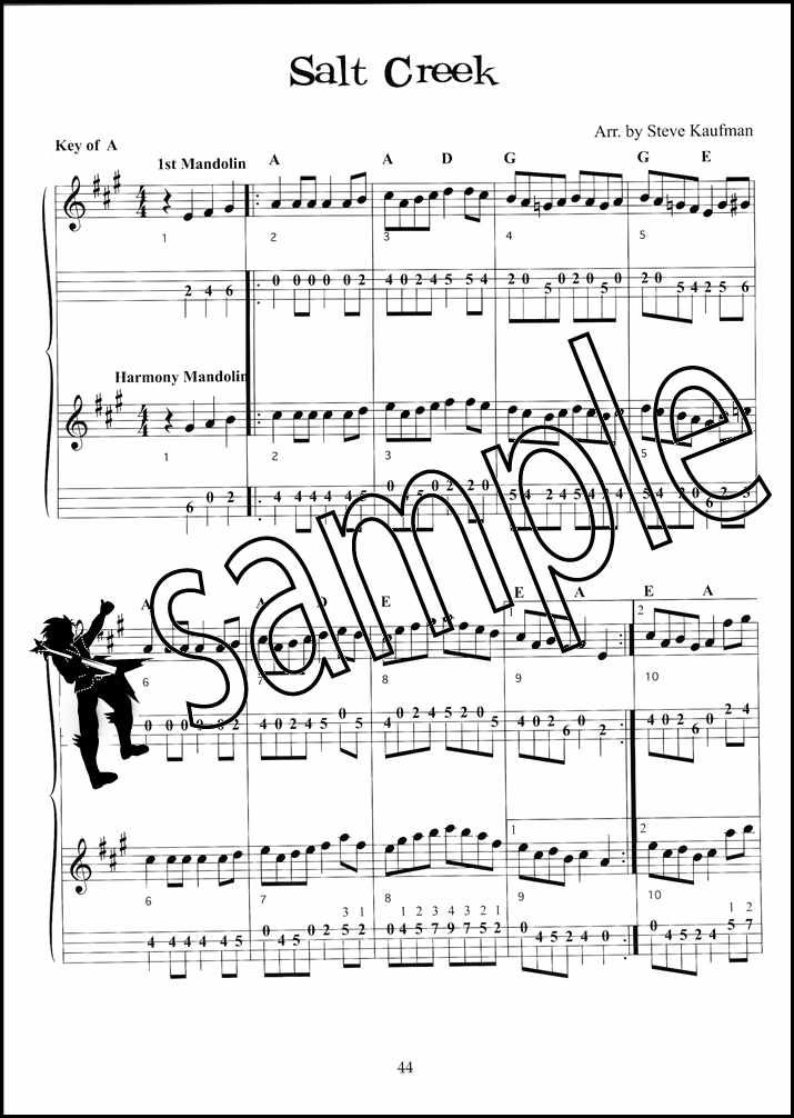 Blazing Mandolin Solos TAB Music Book with Audio for One Player or More