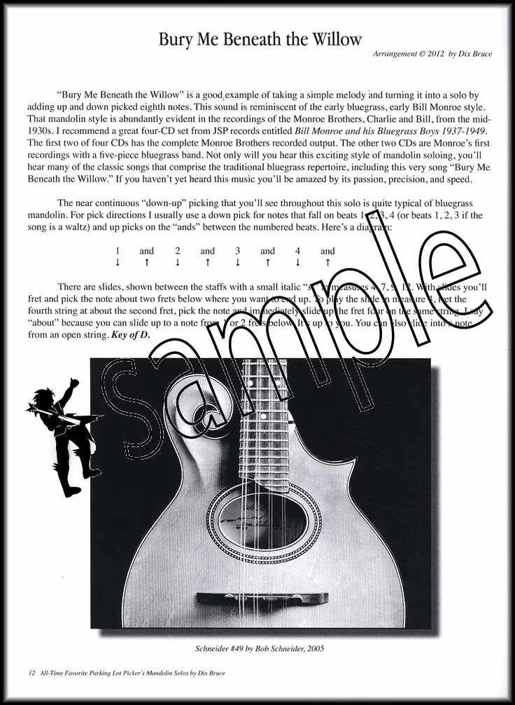 All-Time Favorite Parking Lot Pickers Guitar Solos Book//Audio SAME DAY DISPATCH
