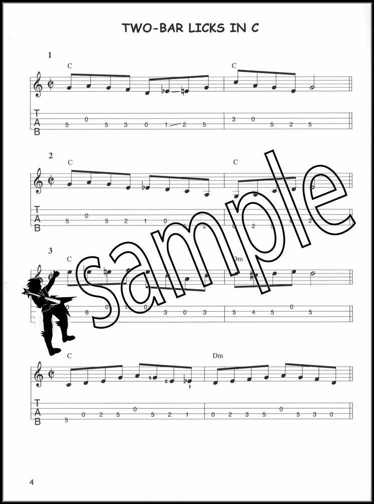 101 Red Hot Bluegrass Mandolin Licks & Solos TAB Book/Audio SAME DAY